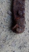 IMG_20180718_092735.jpg