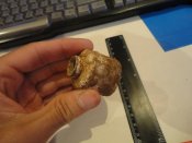 DSC05198.JPG