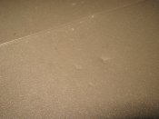 IMG_1315.JPG