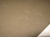 IMG_1317.JPG