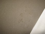 IMG_1318.JPG