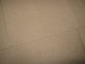 IMG_1322.JPG
