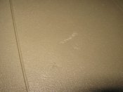 IMG_1344.JPG