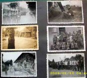 DSCI3459.JPG