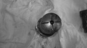 DSC02097.jpg