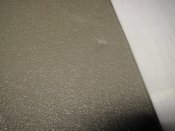 IMG_1349.JPG
