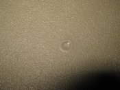 IMG_1386.JPG