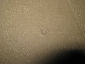 IMG_1387.JPG
