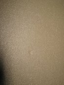 IMG_1576.JPG