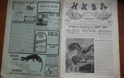 Журнал " Нива" № 48 1907 г