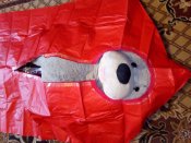 IMG_20171222_110706.jpg