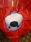 IMG_20171222_110736.jpg