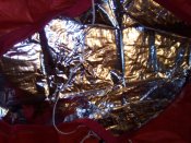 IMG_20171222_110806.jpg