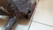 20180722_120651.jpg