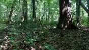 IMG_20180722_121517.jpg