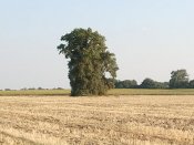 IMG_20180722_190057.jpg