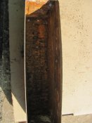 IMG_7210.JPG