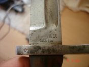DSC01950.JPG