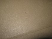 IMG_1610.JPG