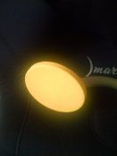 IMG_20180727_155018738.jpg
