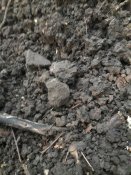 20180728_055620.jpg