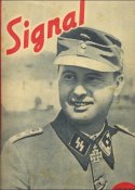 Signal.jpg