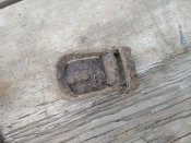 IMG_20180729_101933.jpg