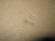 IMG_1645.JPG