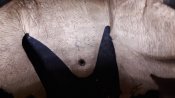 20180728_184924.jpg