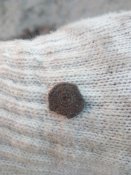 IMG_20180729_200930.jpg