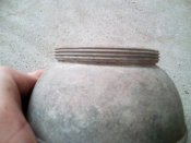 IMG_20180730_100313.jpg