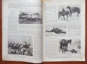 Журнал " Нива" № 8 1915 г