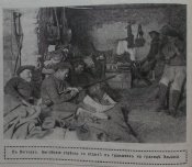 Журнал " Нива" № 8 1915 г