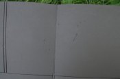 DSC_0308.jpg