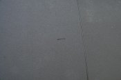 DSC_0319.jpg