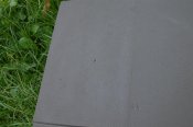 DSC_0324.jpg