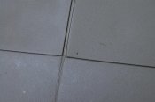 DSC_0325.jpg