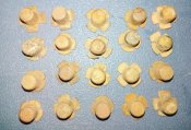 Двадцать Британских перкуссионных капсулей зажигания на Крымскую войну 1853-1856 гг.