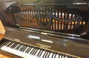 bechstein09.jpg
