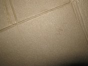 IMG_1674.JPG