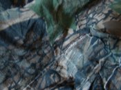 DSC05819.JPG