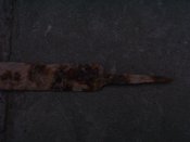 100_8098.jpg
