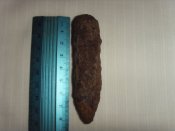 SDC10238.JPG