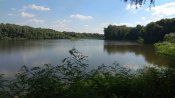 IMG_20180803_145208.jpg