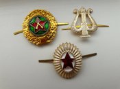20180709_153433.jpg