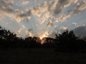 DSCN9843.JPG