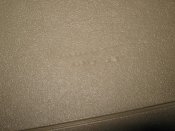 IMG_1734.JPG