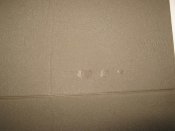 IMG_1736.JPG