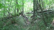 IMG_1762.JPG