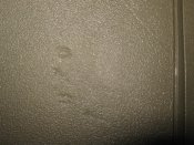 IMG_1748.JPG